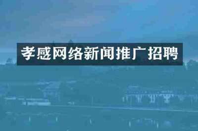 孝感网络新闻推广招聘