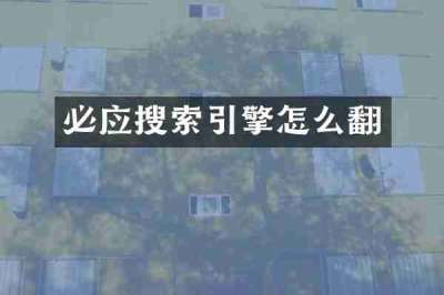 必应搜索引擎怎么翻