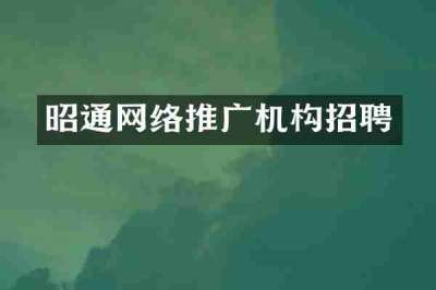 昭通网络推广机构招聘
