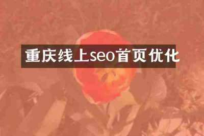 重庆线上seo首页优化