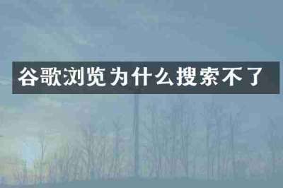 谷歌浏览为什么搜索不了
