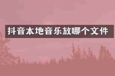 抖音本地音乐放哪个文件