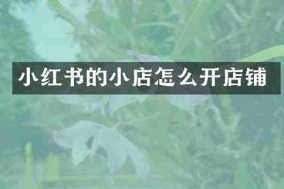 小红书的小店怎么开店铺