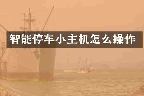 智能停车小主机怎么操作
