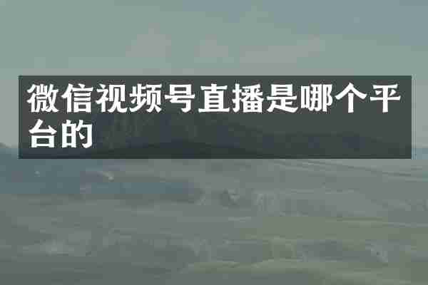 微信视频号直播是哪个平台的