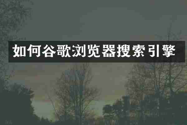 如何谷歌浏览器搜索引擎