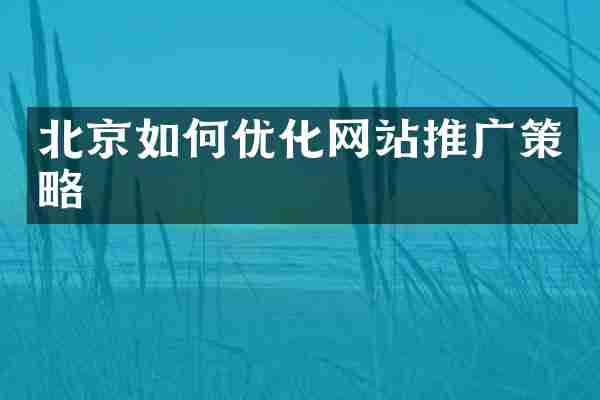 北京如何优化网站推广策略