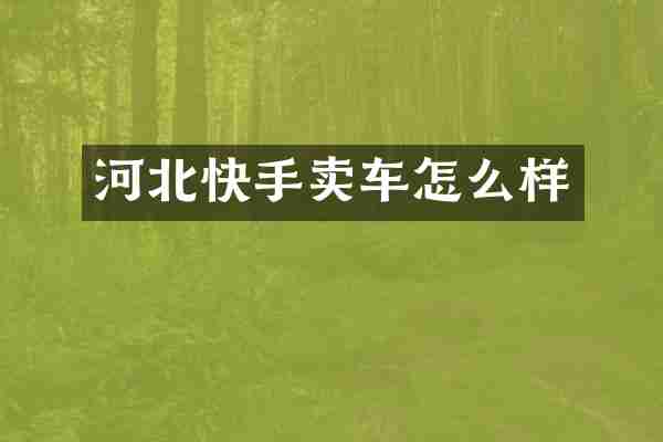 河北快手卖车怎么样