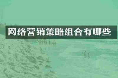 网络营销策略组合有哪些
