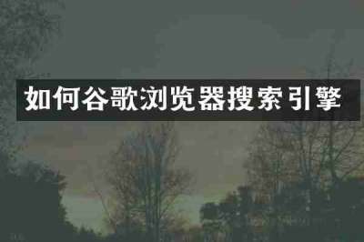 如何谷歌浏览器搜索引擎