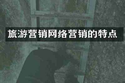 旅游营销网络营销的特点