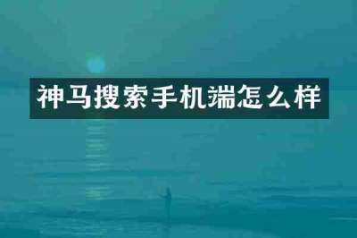 神马搜索手机端怎么样