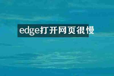 edge打开网页很慢