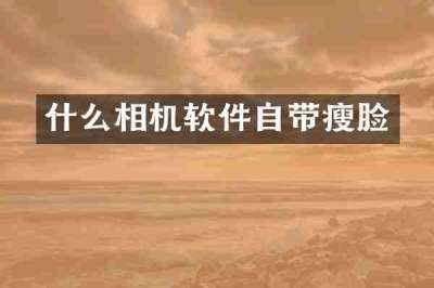 什么相机软件自带瘦脸
