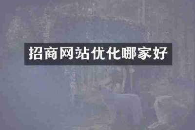 招商网站优化哪家好
