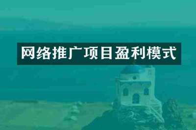 网络推广项目盈利模式