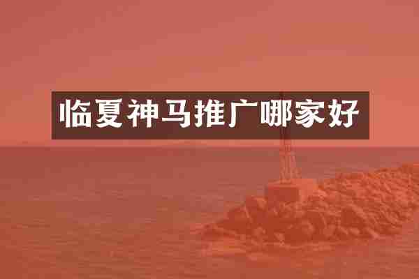 临夏神马推广哪家好