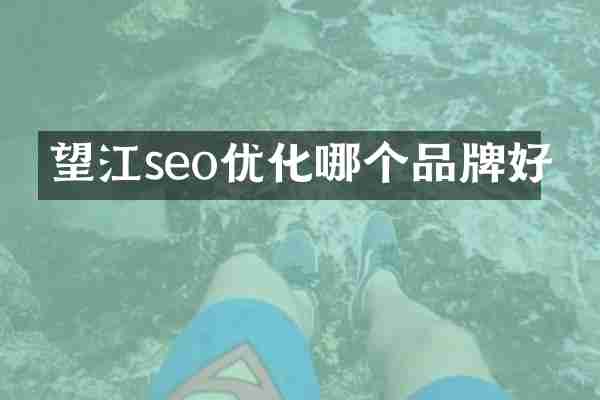 望江seo优化哪个品牌好