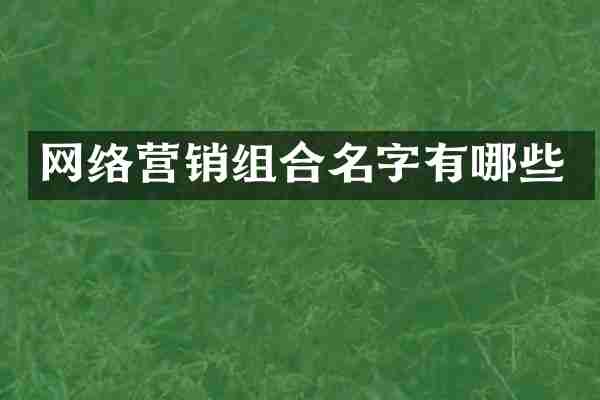 网络营销组合名字有哪些