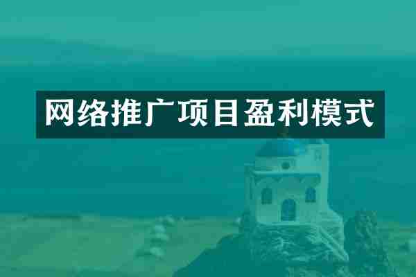 网络推广项目盈利模式