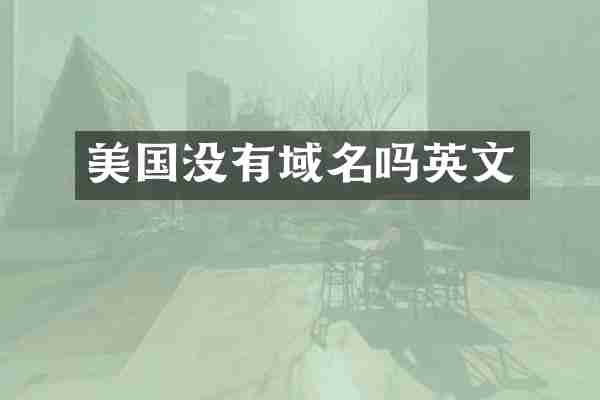 美国没有域名吗英文
