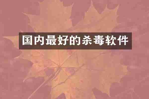 国内最好的软件