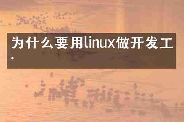 为什么要用linux做开发工具