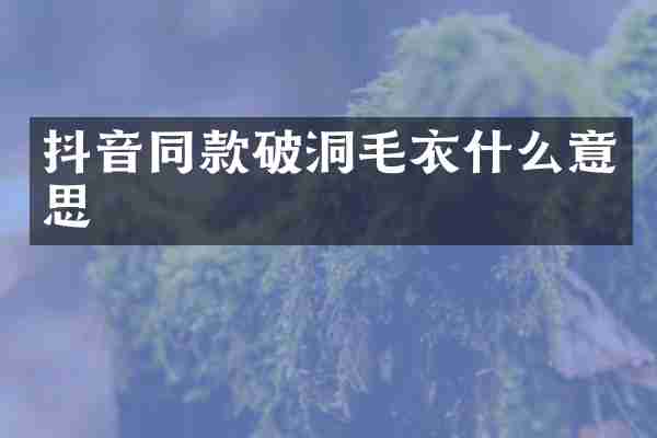 抖音同款破洞毛衣什么意思