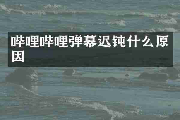 哔哩哔哩弹幕迟钝什么原因