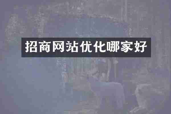 招商网站优化哪家好