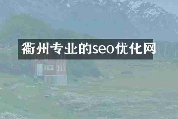 衢州专业的seo优化网