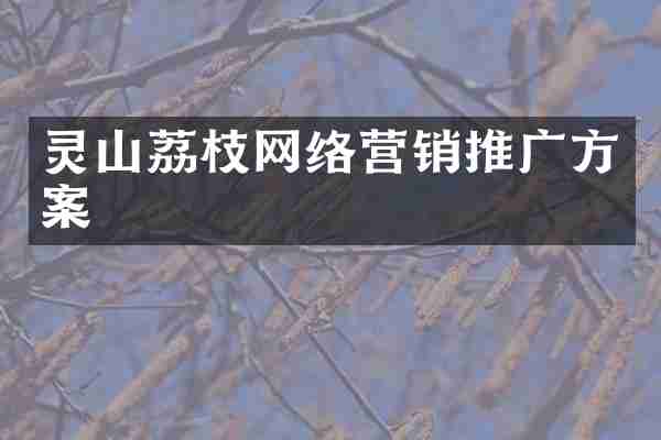 灵山荔枝网络营销推广方案
