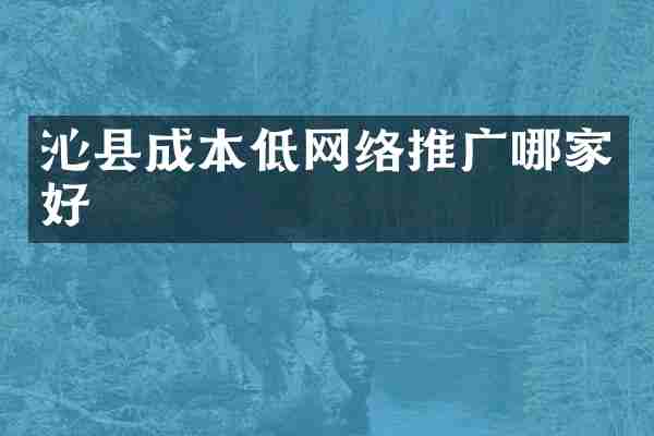 沁县成本低网络推广哪家好