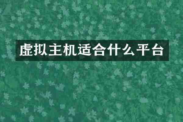 虚拟主机适合什么平台