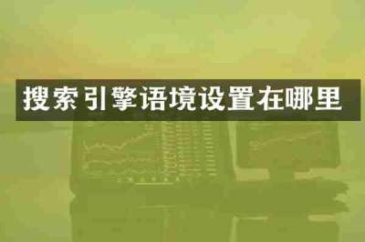 搜索引擎语境设置在哪里