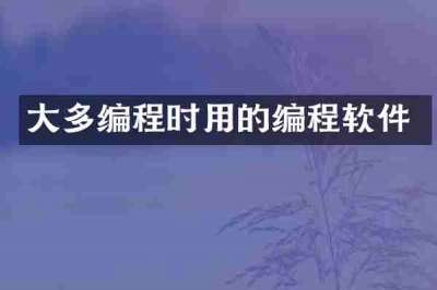 大多编程时用的编程软件
