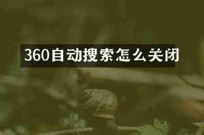 360自动搜索怎么关闭