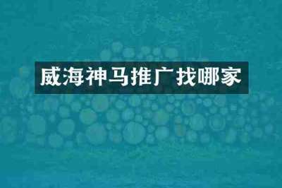 威海神马推广找哪家