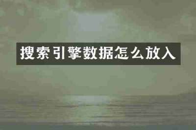 搜索引擎数据怎么放入