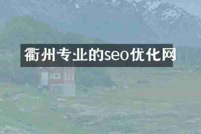 衢州专业的seo优化网
