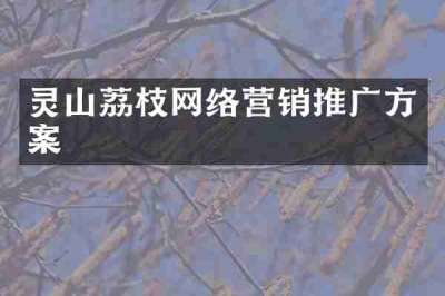 灵山荔枝网络营销推广方案