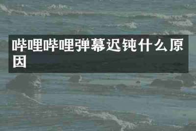 哔哩哔哩弹幕迟钝什么原因