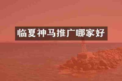 临夏神马推广哪家好