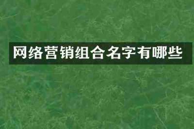 网络营销组合名字有哪些