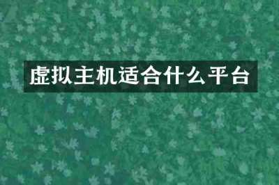 虚拟主机适合什么平台
