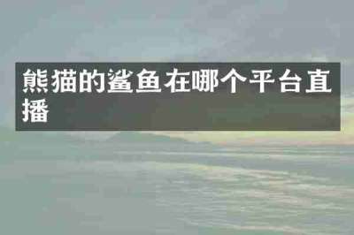 熊猫的鲨鱼在哪个平台直播