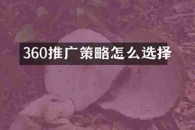 360推广策略怎么选择