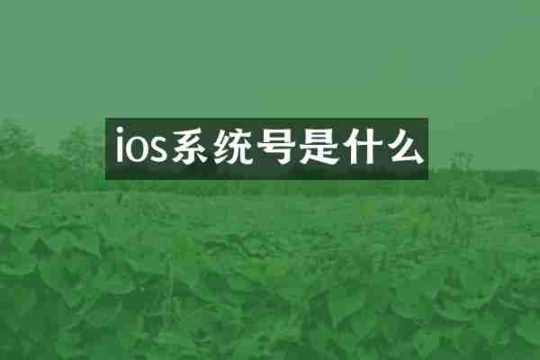 ios系统号是什么