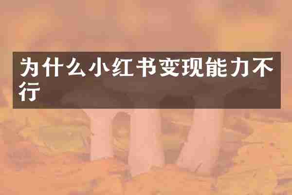 为什么小红书变现能力不行