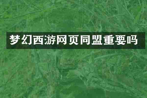 梦幻西游网页同盟重要吗